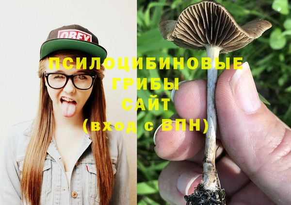 гидропоника Алексин