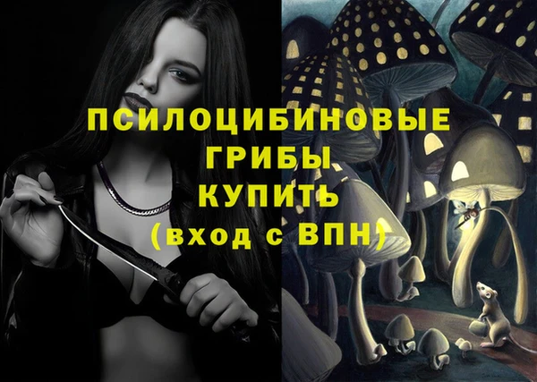 индика Абдулино
