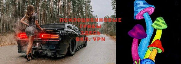 гидропоника Алексин